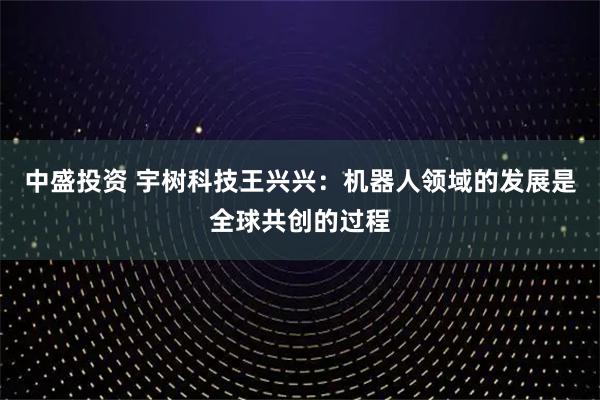 中盛投资 宇树科技王兴兴：机器人领域的发展是全球共创的过程