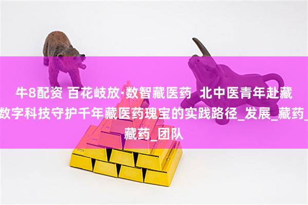 牛8配资 百花岐放·数智藏医药  北中医青年赴藏探索数字科技守护千年藏医药瑰宝的实践路径_发展_藏药_团队