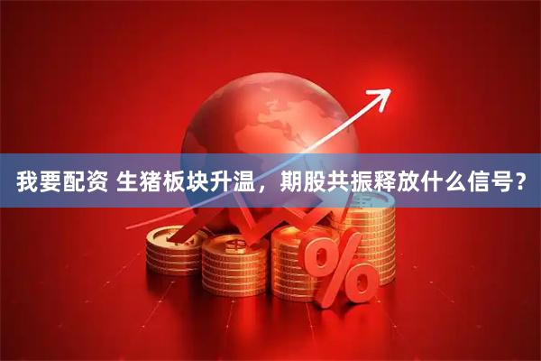 我要配资 生猪板块升温，期股共振释放什么信号？