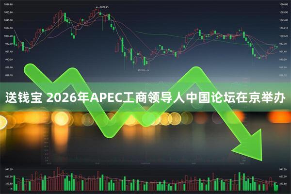 送钱宝 2026年APEC工商领导人中国论坛在京举办