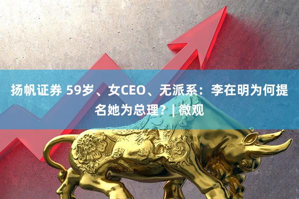 扬帆证券 59岁、女CEO、无派系：李在明为何提名她为总理？| 微观