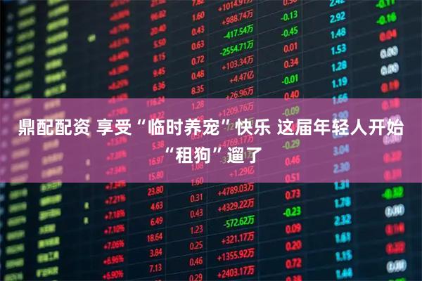 鼎配配资 享受“临时养宠”快乐 这届年轻人开始“租狗”遛了