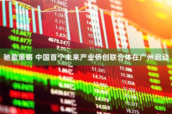 驰盈策略 中国首个未来产业侨创联合体在广州启动