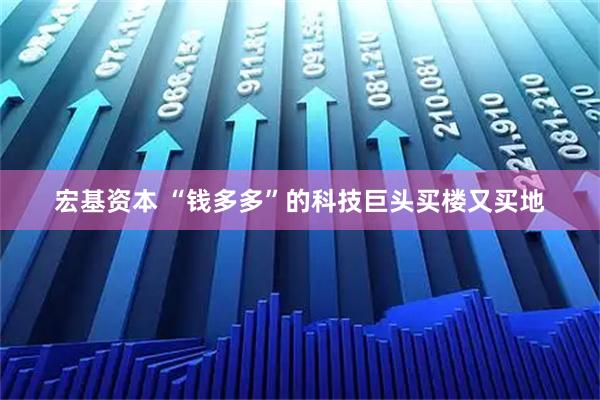 宏基资本 “钱多多”的科技巨头买楼又买地